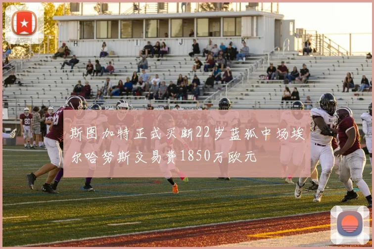 斯图加特正式买断22岁蓝狐中场埃尔哈努斯交易费1850万欧元