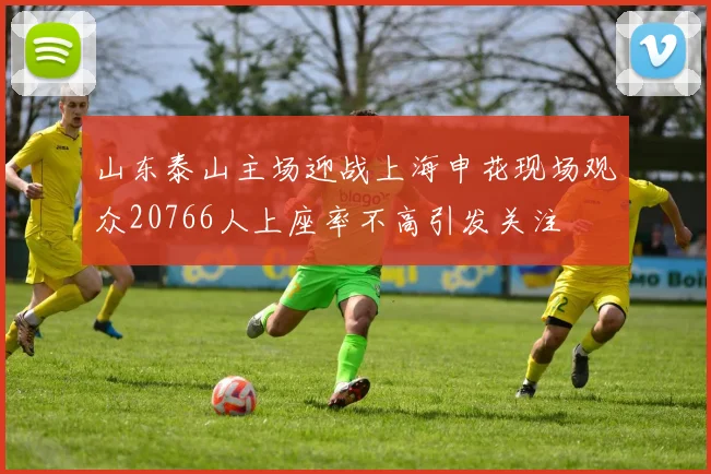山东泰山主场迎战上海申花现场观众20766人上座率不高引发关注