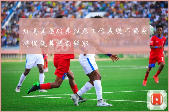 红鸟高层对弗拉尼工作表现不满或将促使其提前辞职